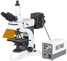 N-800F实验室荧光显微镜 [N-800F].jpg